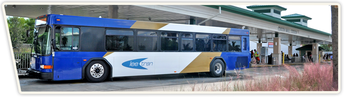Lee Tran Bus Welcome To The Palm Frond Hoa Website